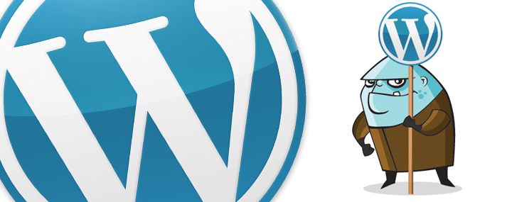 WordPress webhosting: In 7 stappen naar een succesvolle WordPress website